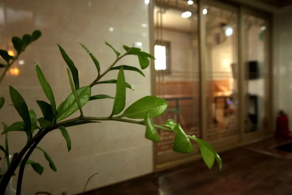 Aparthotel K-Pop Residence Myeongdong 1